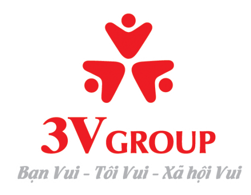 Giới thiệu Công ty 3V