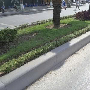 bó vỉa ghi sáng TH dải phân cách