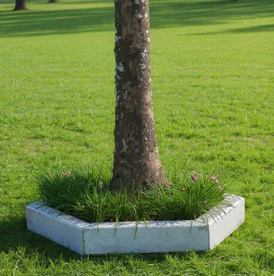 bó vỉa ghi sáng thanh hóa gốc cây