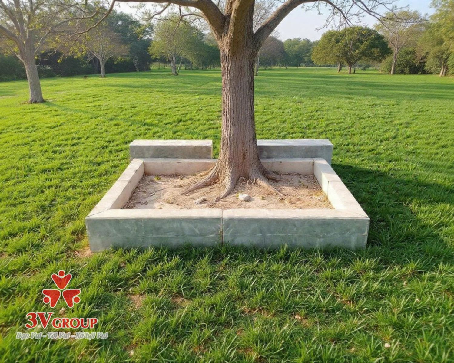 bó vỉa ghi sáng thanh hóa gốc cây